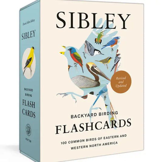 Sibley Backyard Flashcards