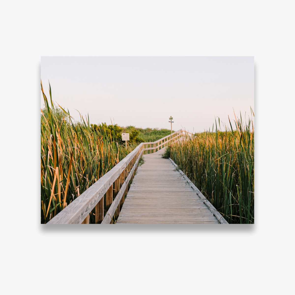 Sullivan's Island Boardwalk 8x10 Print