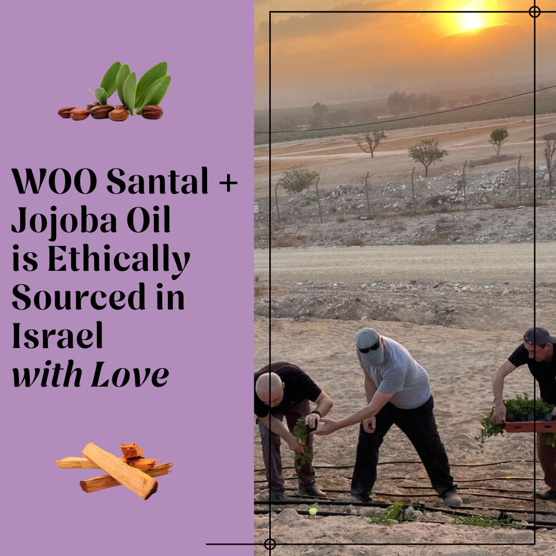 Organic WOO Santal + Jojoba Oil