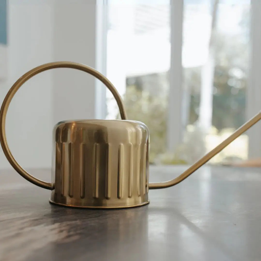 1L Watering Can