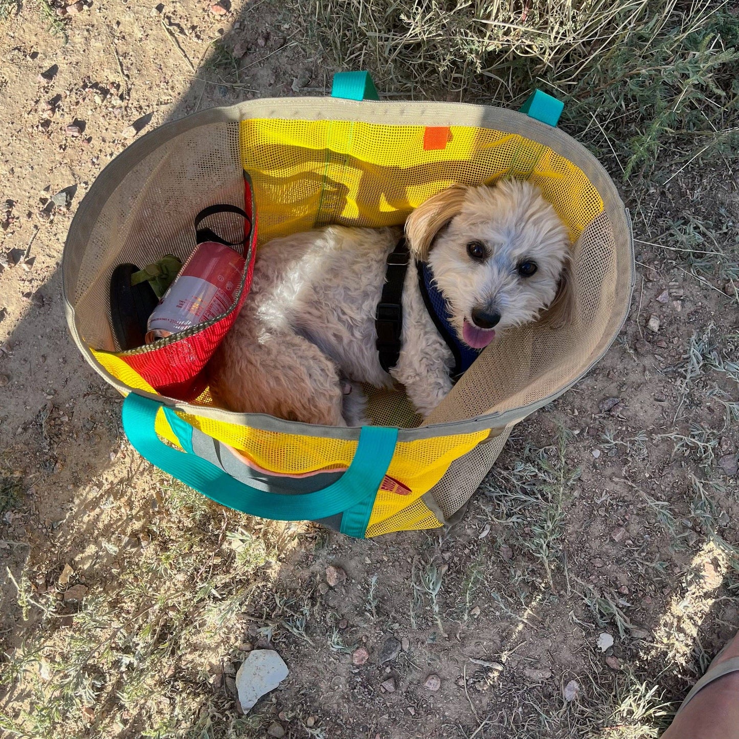 The Mother Tote Base