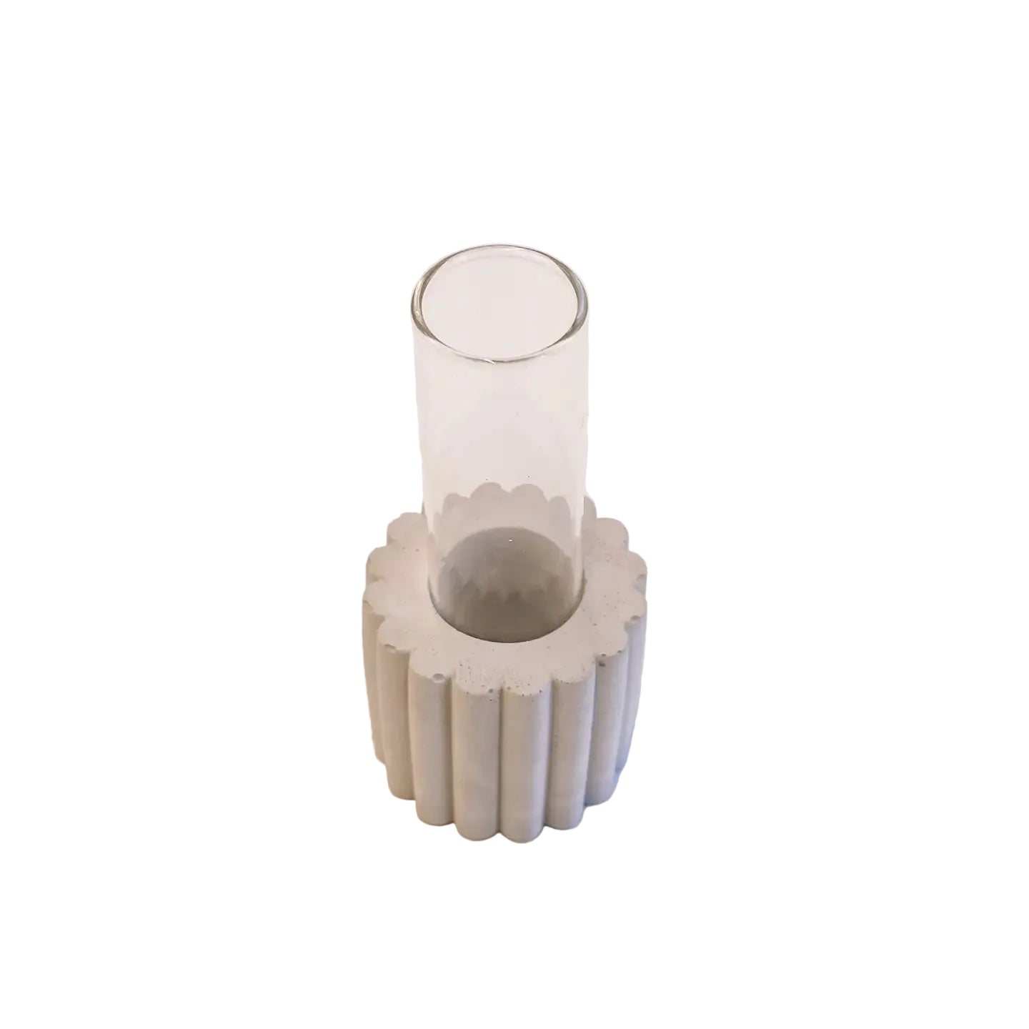 Scallop Propagation Vase