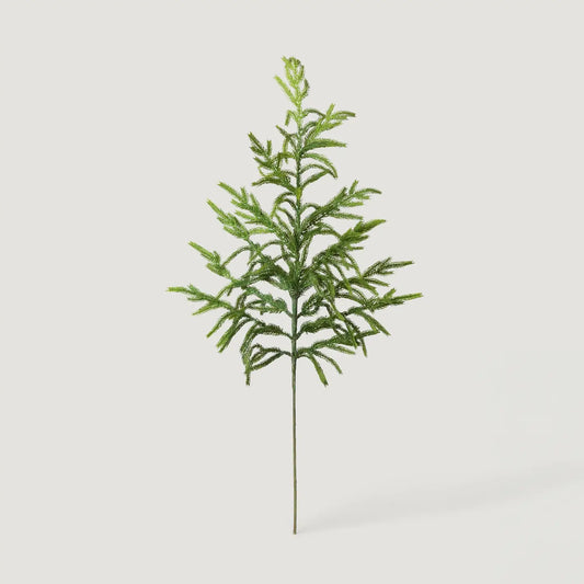 Real Touch Norfolk Pine Branch - 36"