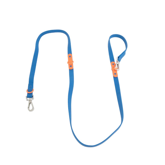Fritz Leash