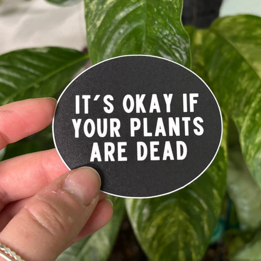 Plant Care Sticker