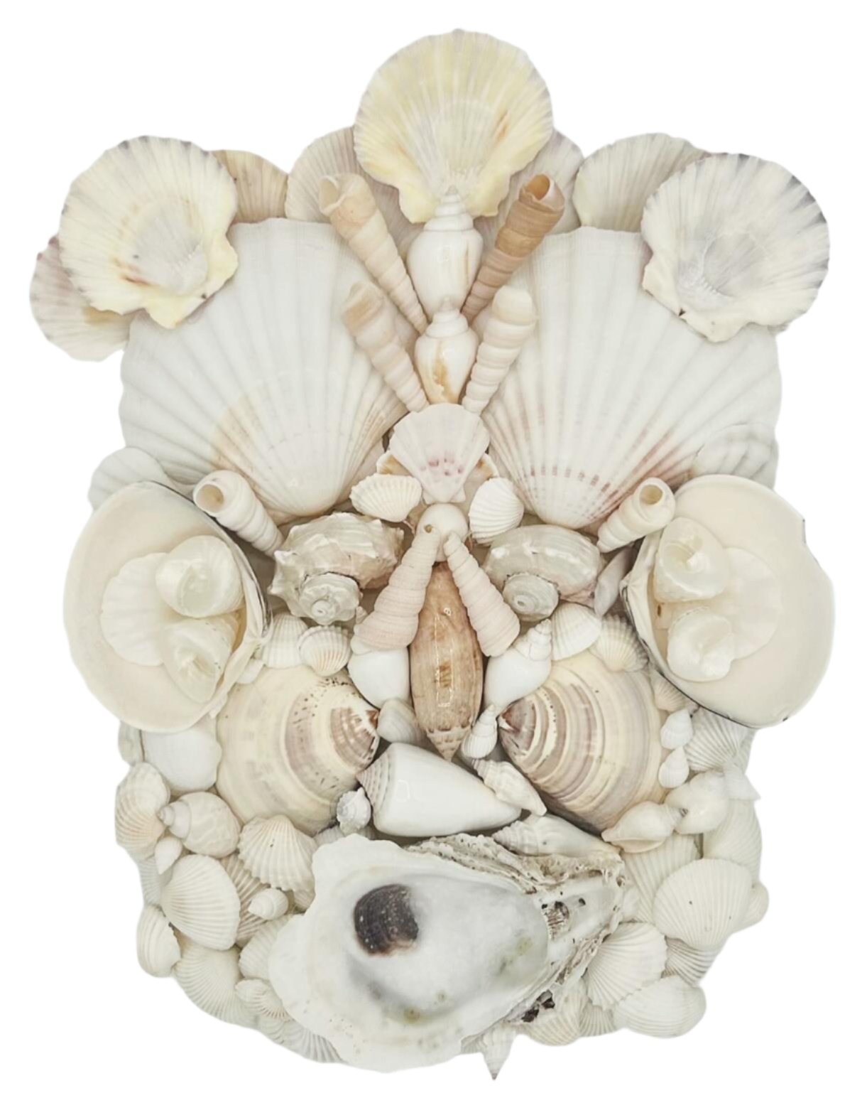Shell Face