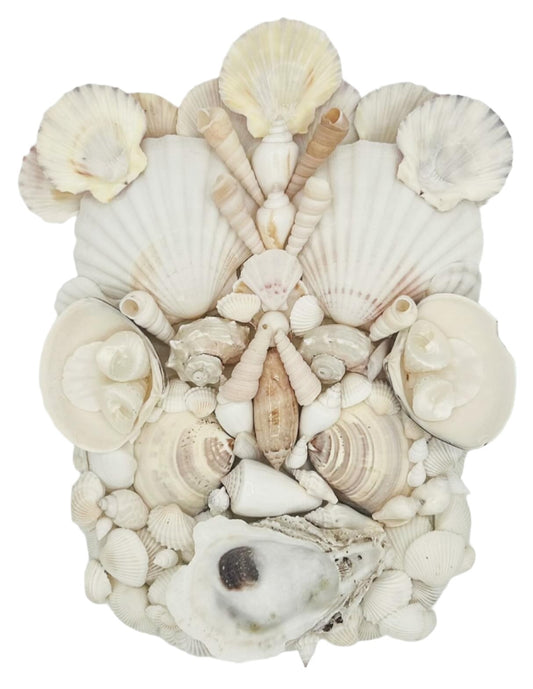 Shell Face