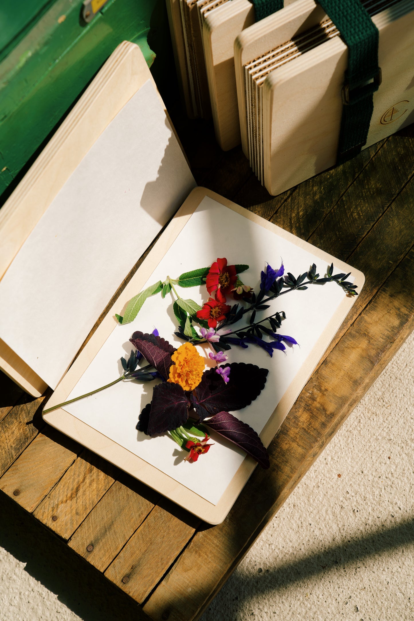 Herbarium Flower Press