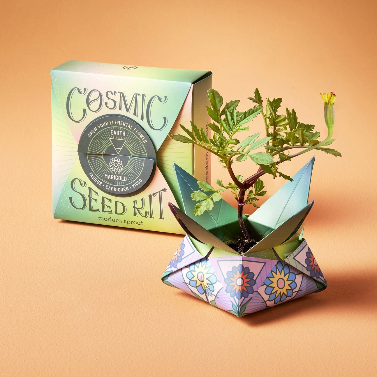 MARIGOLD SEED KIT
