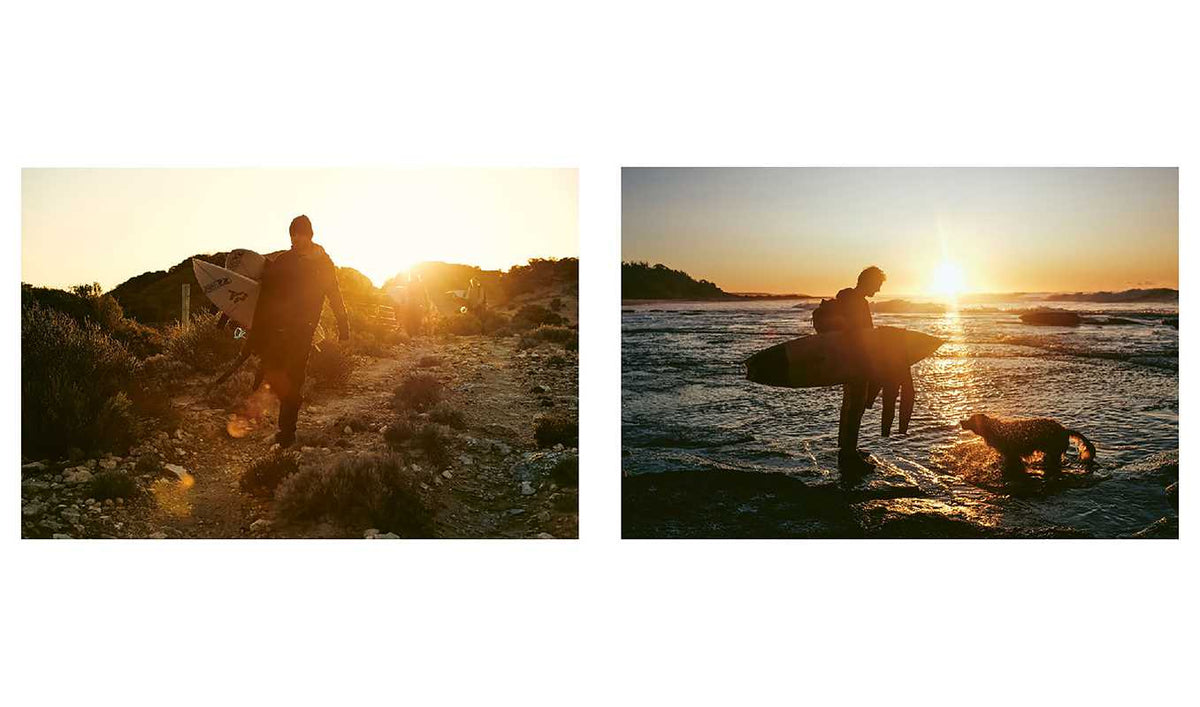 Life Around the Sea
