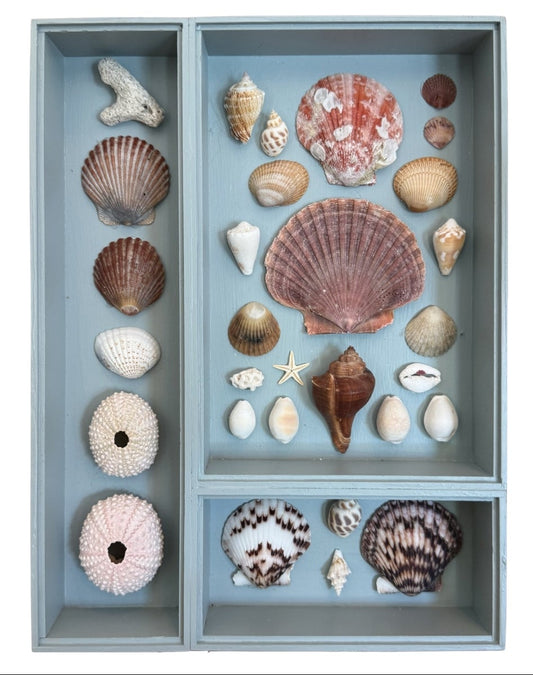 Shadowbox Shell Panel