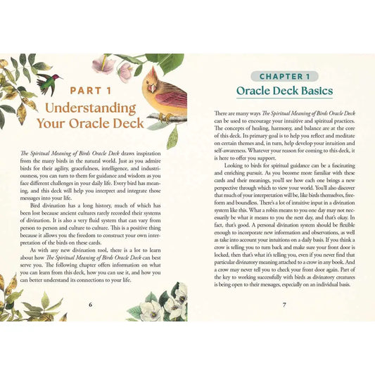Spiritual Meaning of Birds Oracle Deck