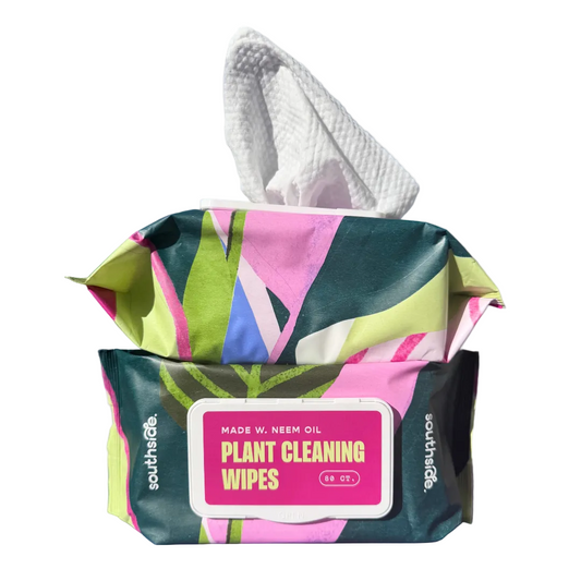 Houseplant Cleaning Wipes
