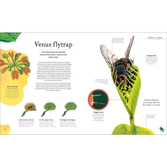 The Secret World of Plants