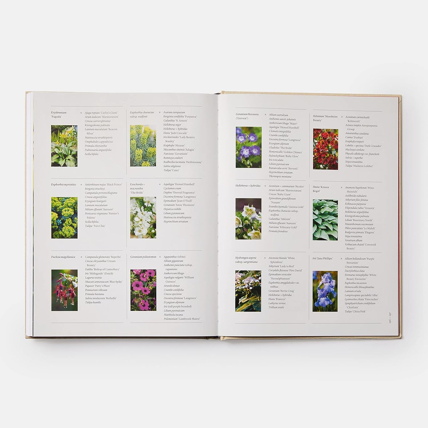 Seasonal Gardener