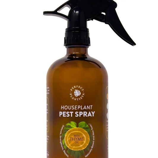Houseplant Pest Spray