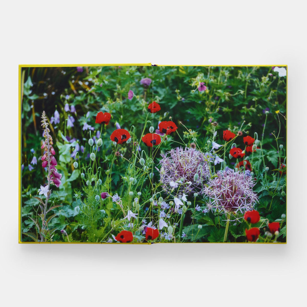 Year In Bloom