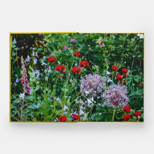 Year In Bloom