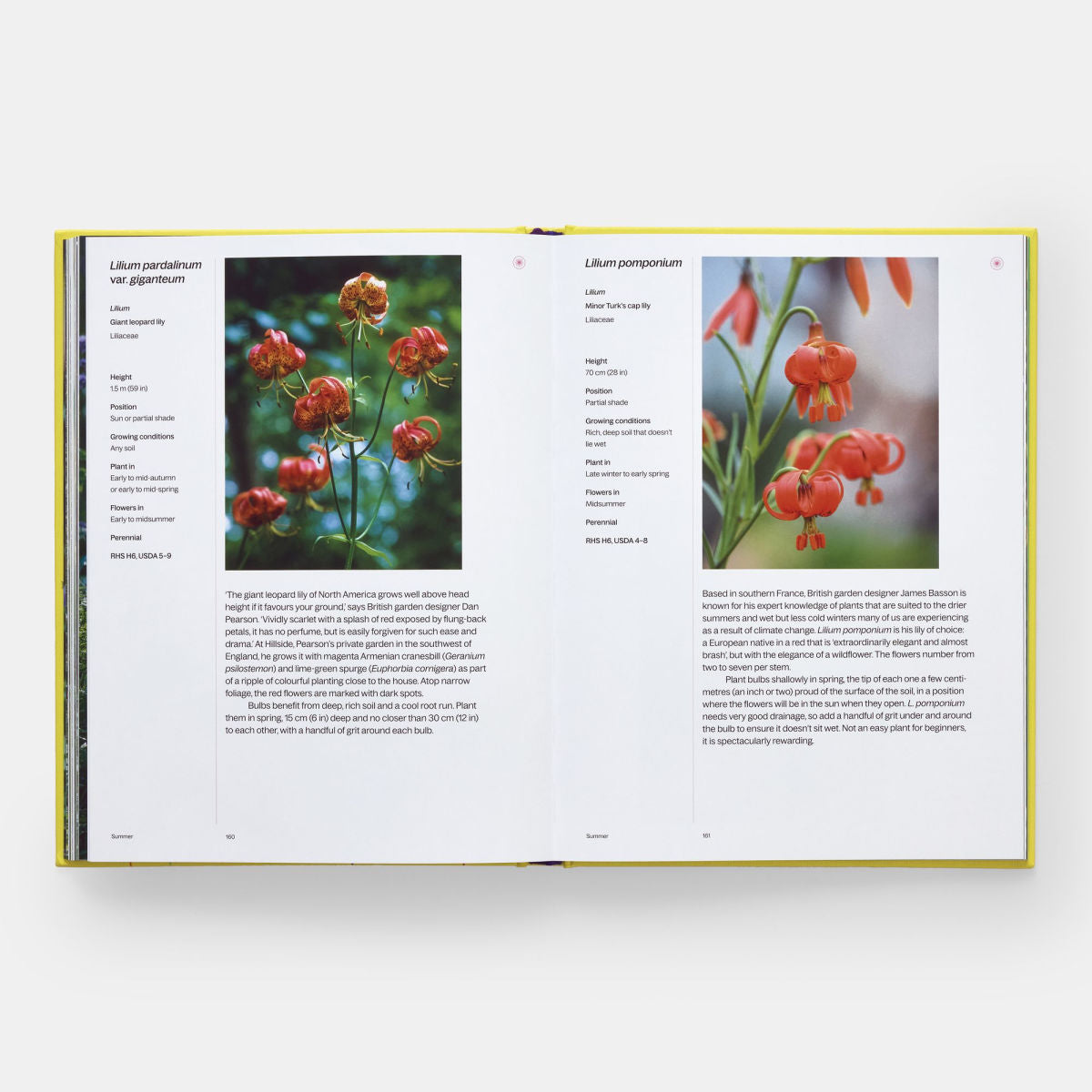 Year In Bloom
