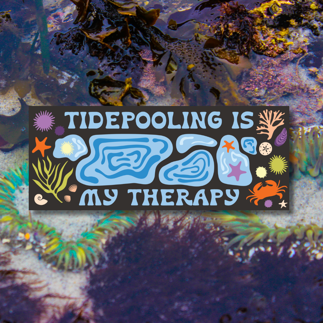 Tidepooling Bumper Sticker