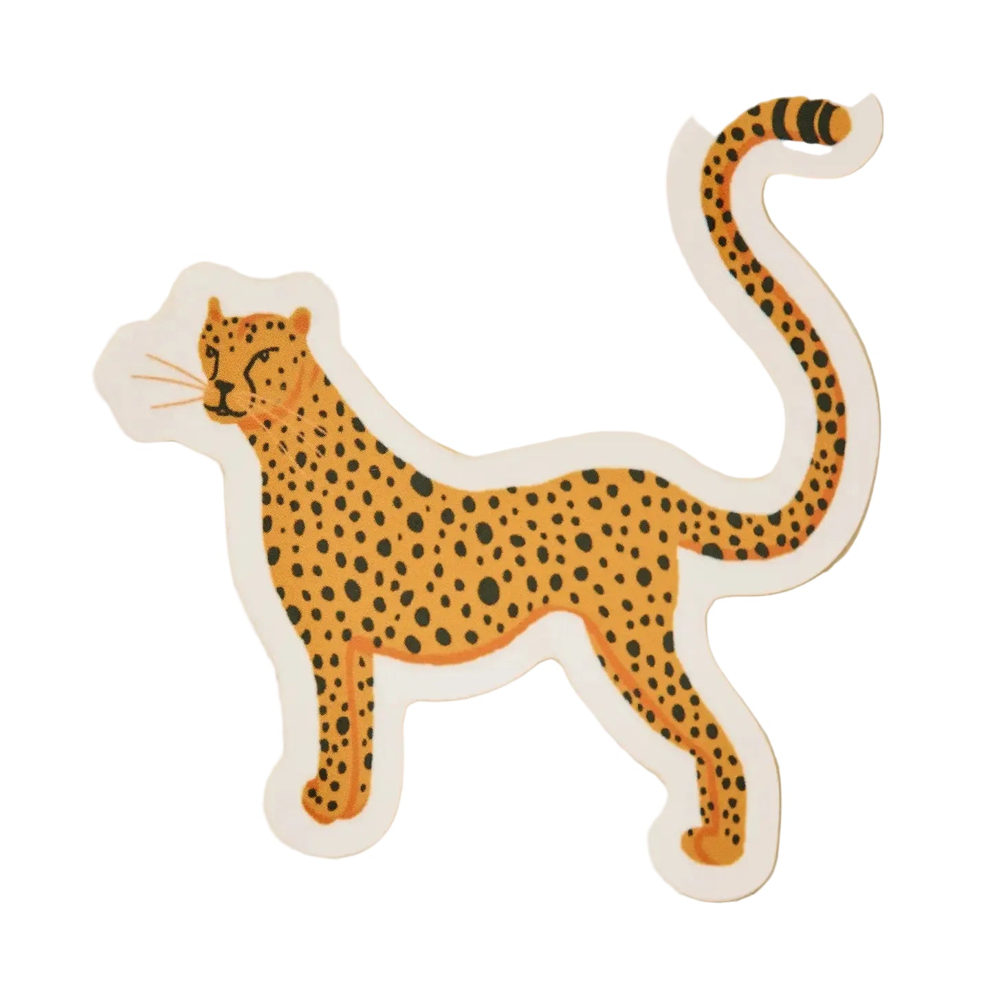 Cheetah Sticker
