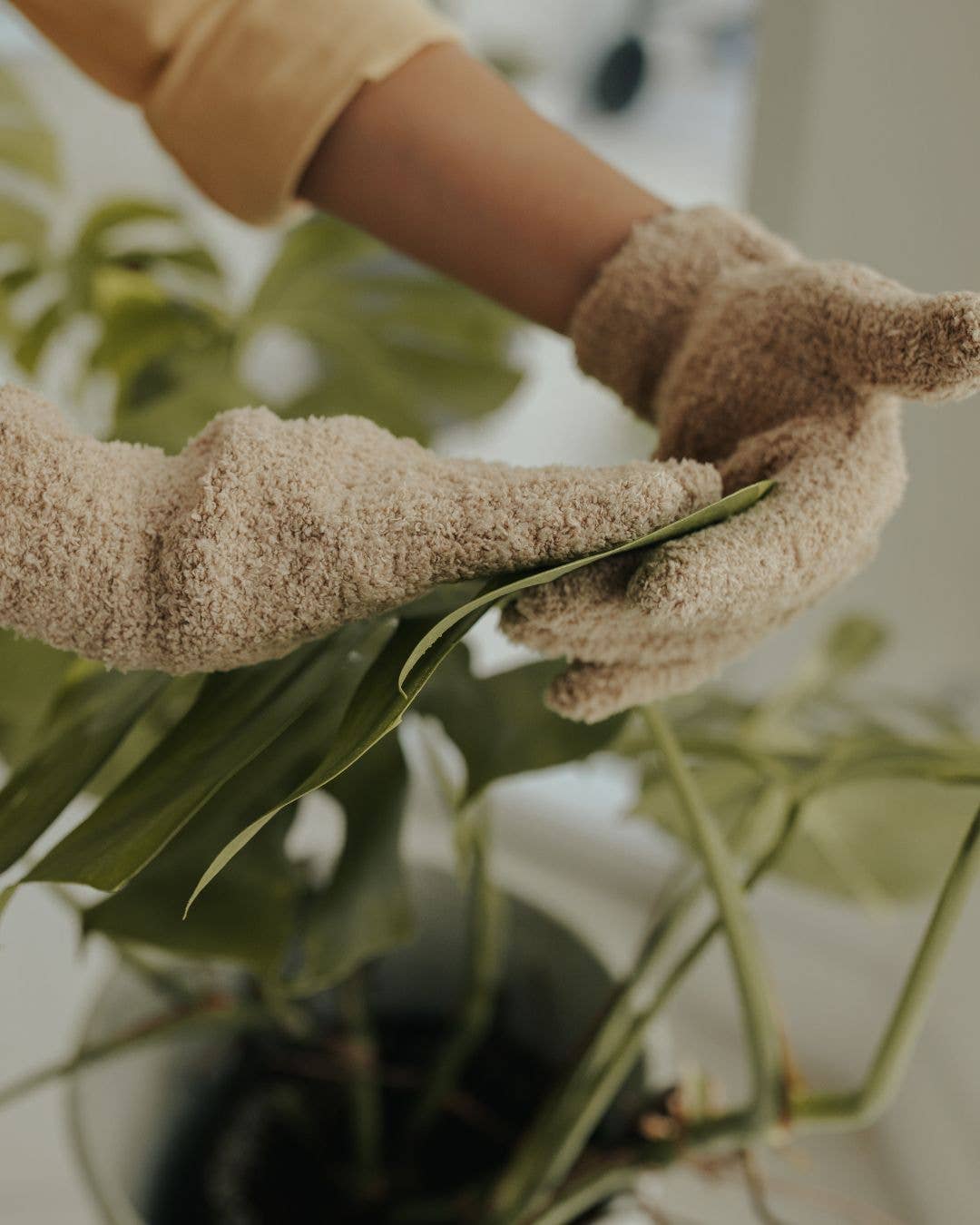 Plant Care Gloves