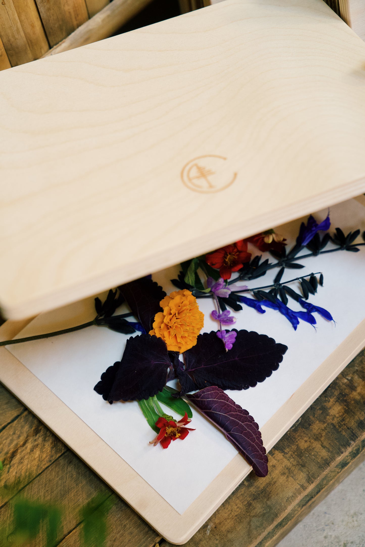 Herbarium Flower Press