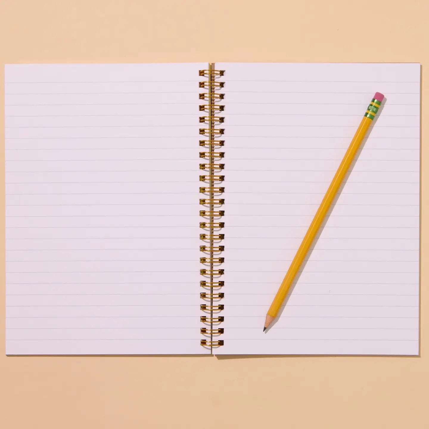 Sardines Spiral Notebook