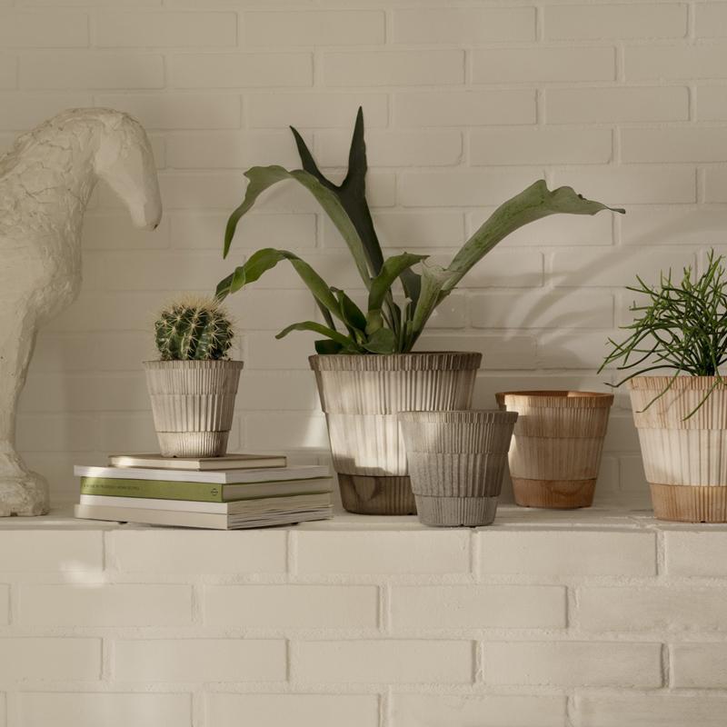 Atlas Raw Pot & Saucer