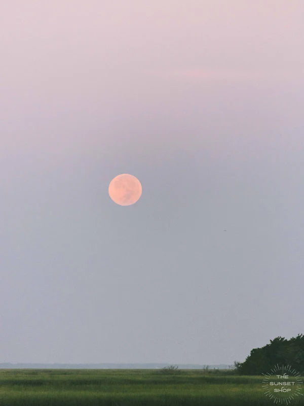 8x10 Full Moon Marsh
