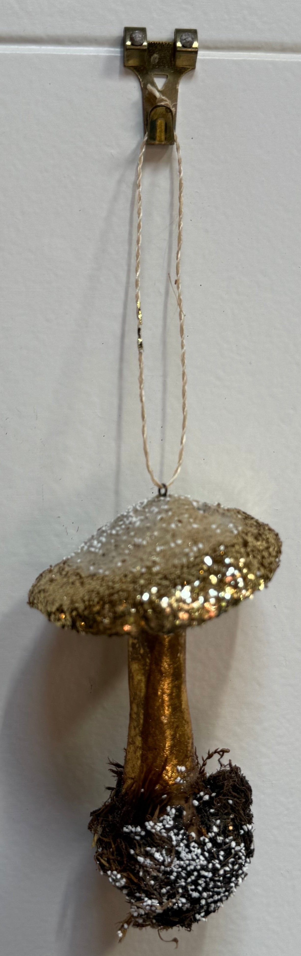 Enchanted Toadstool