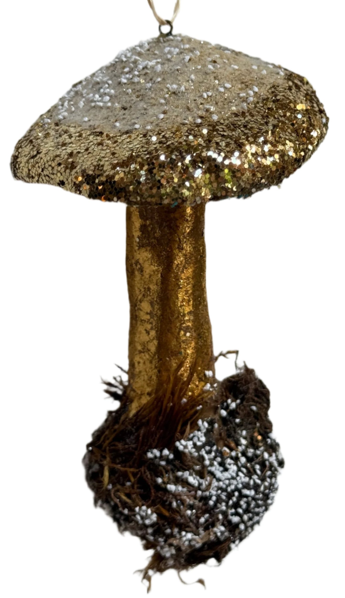 Enchanted Toadstool