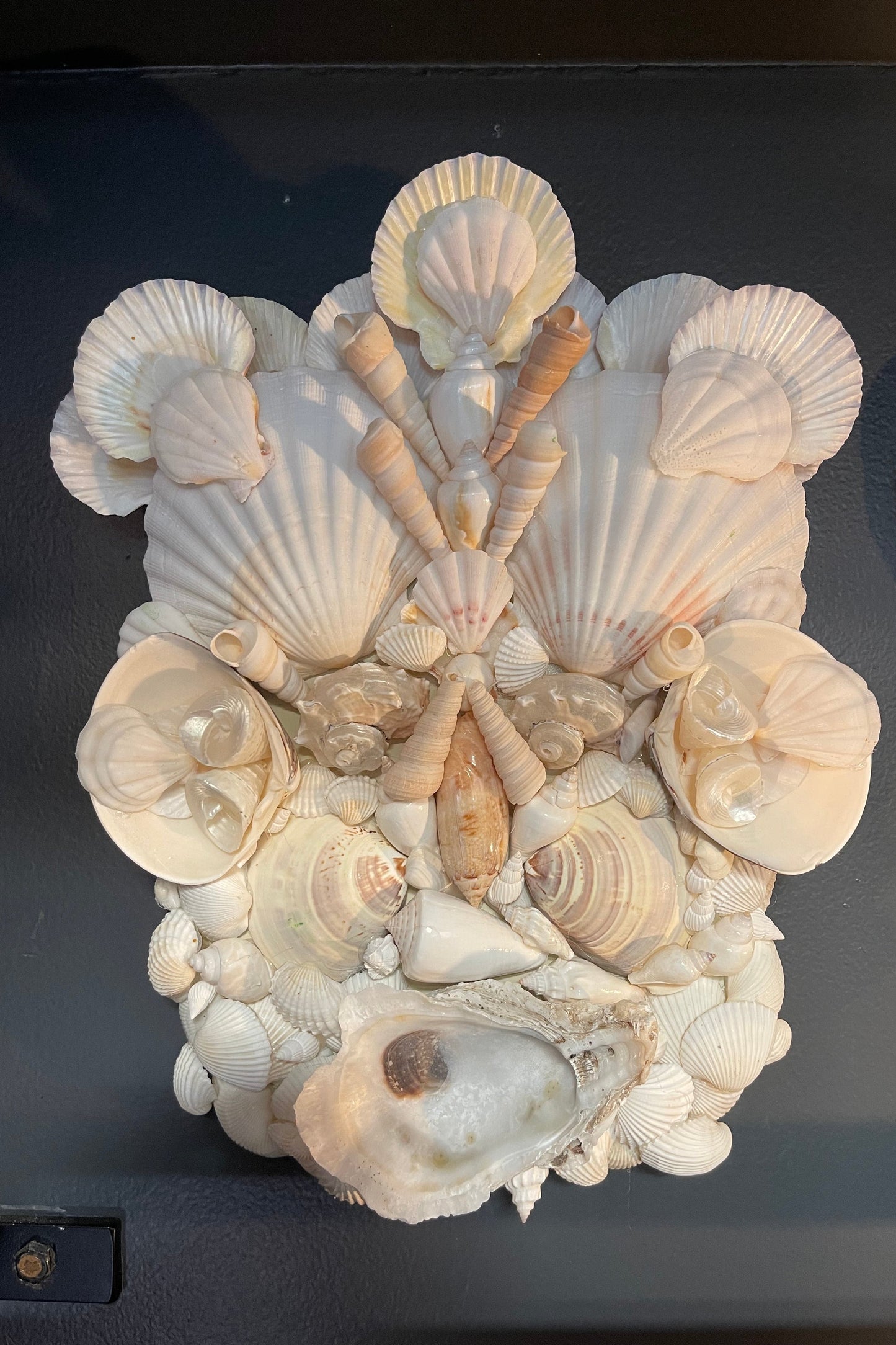 Shell Face