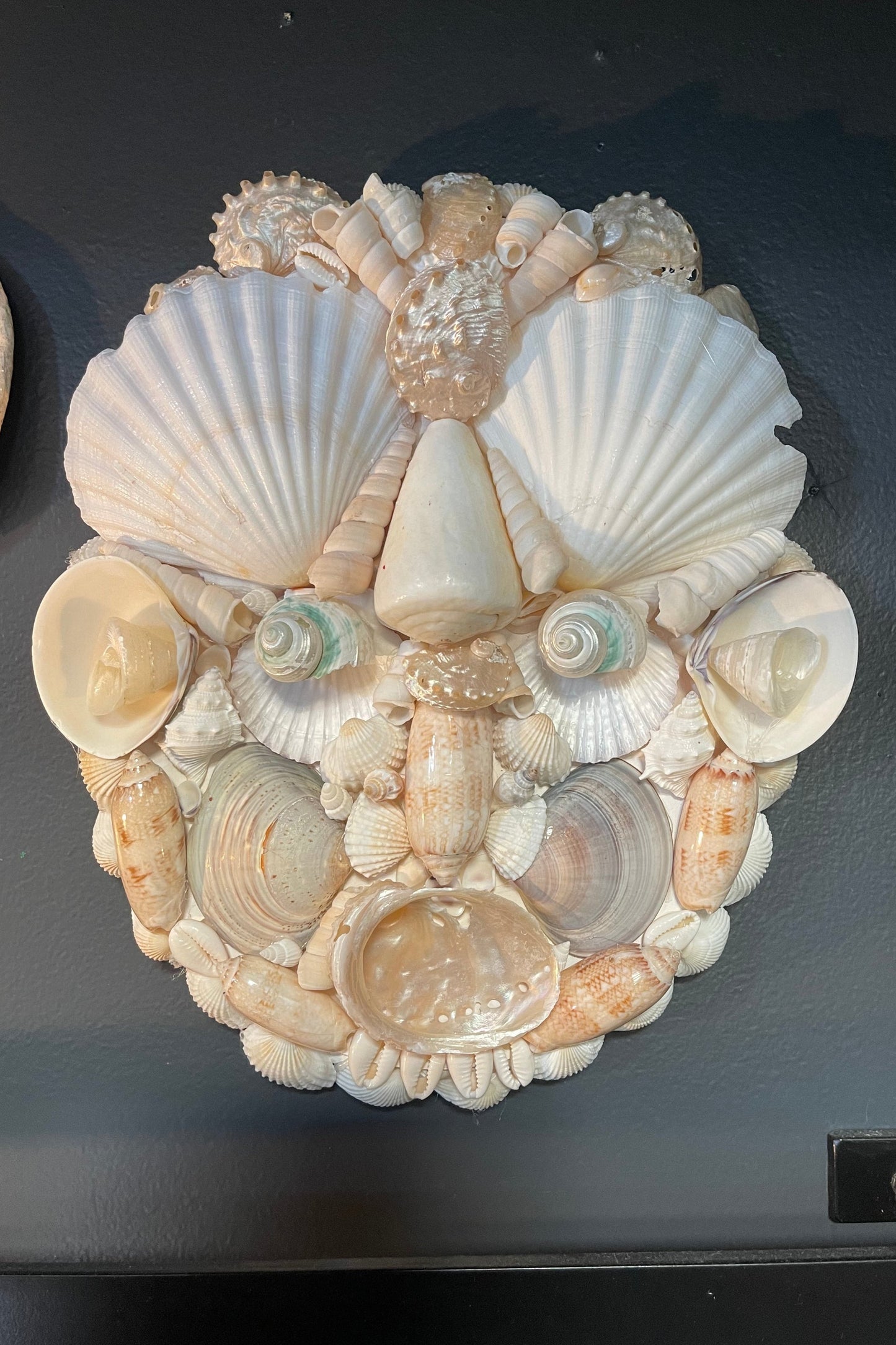 Shell Face