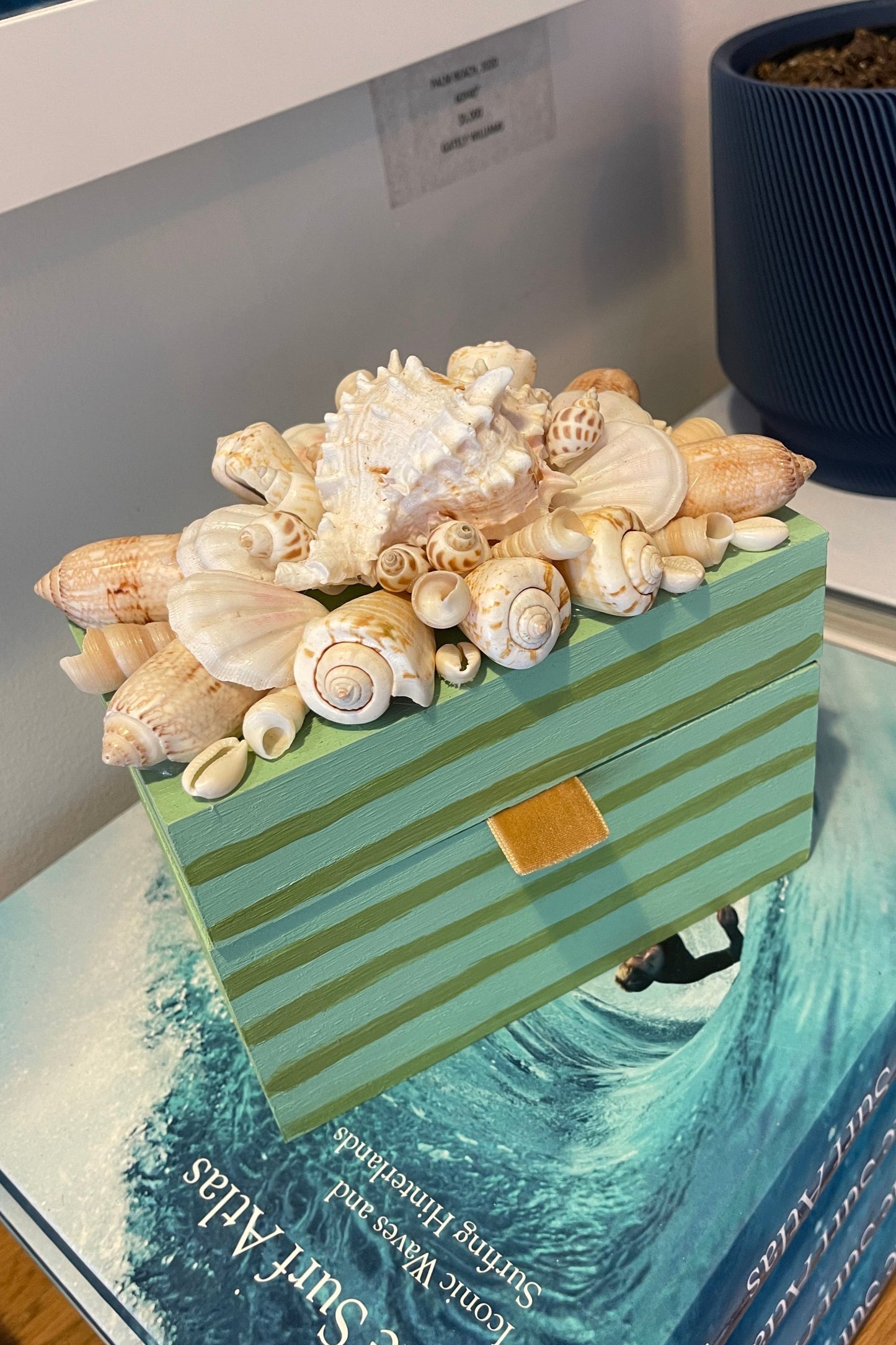 Shell Box