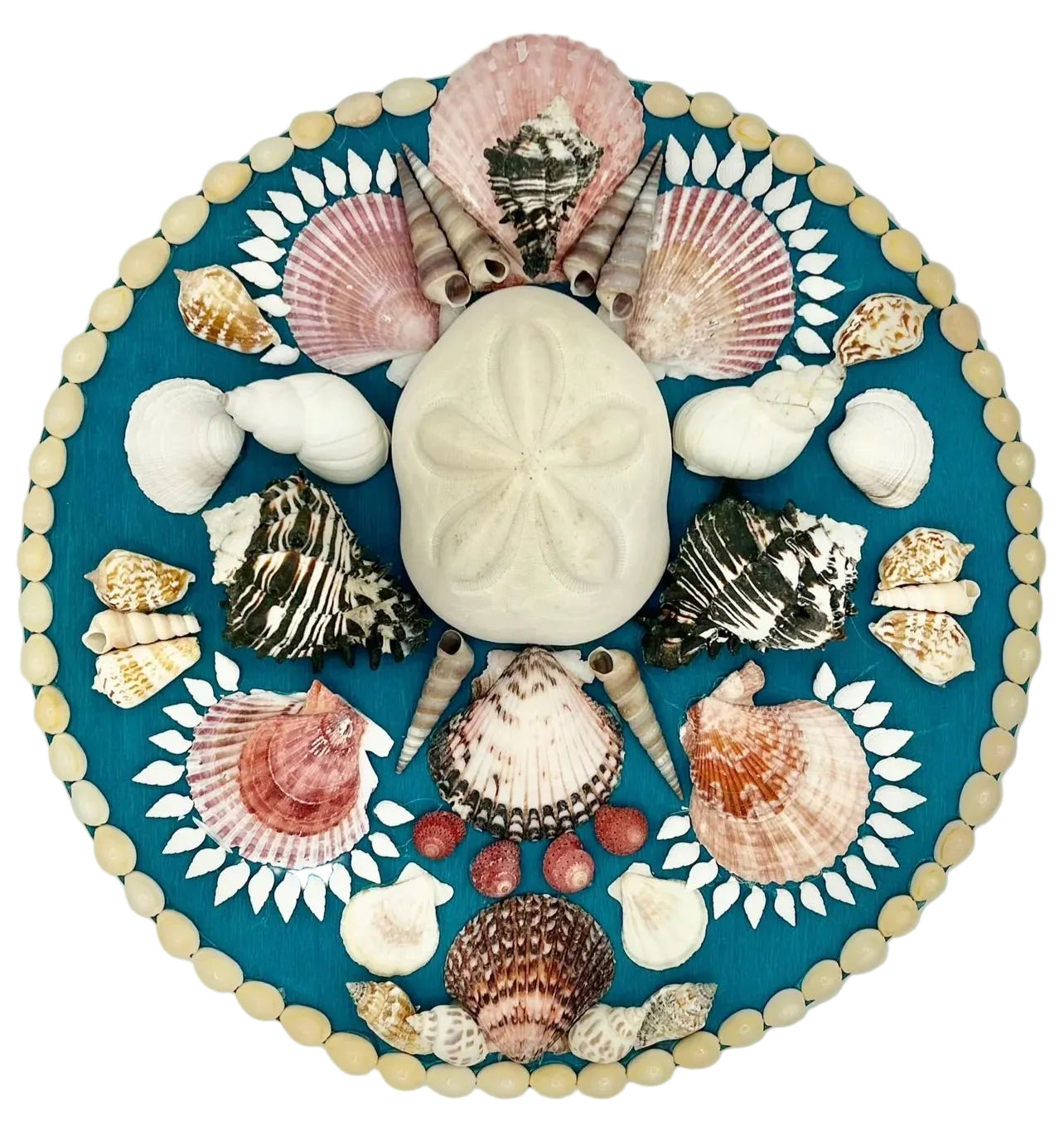 Round Shell Panel