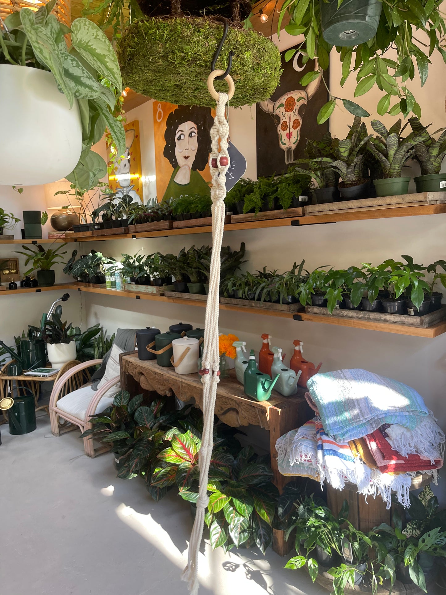 Plant Beaded DNA Hanger