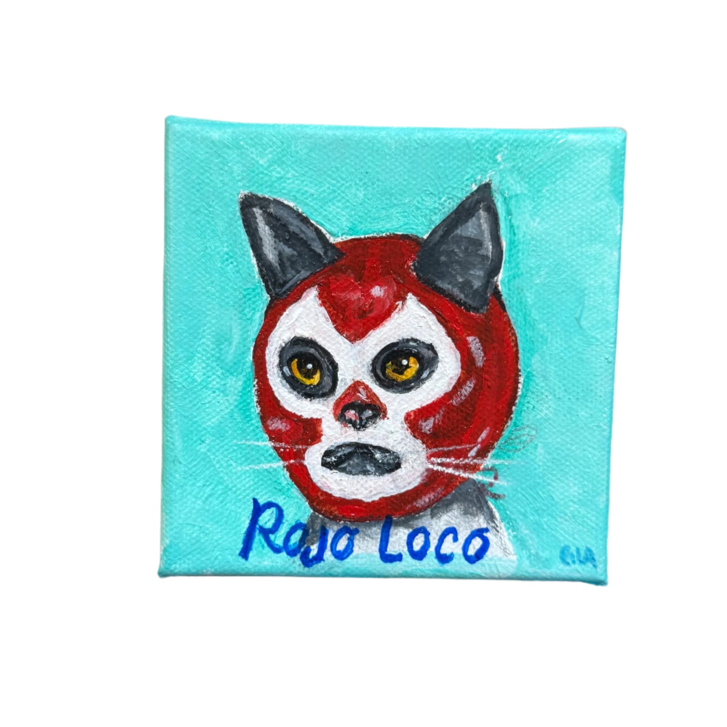 Lucha Gato