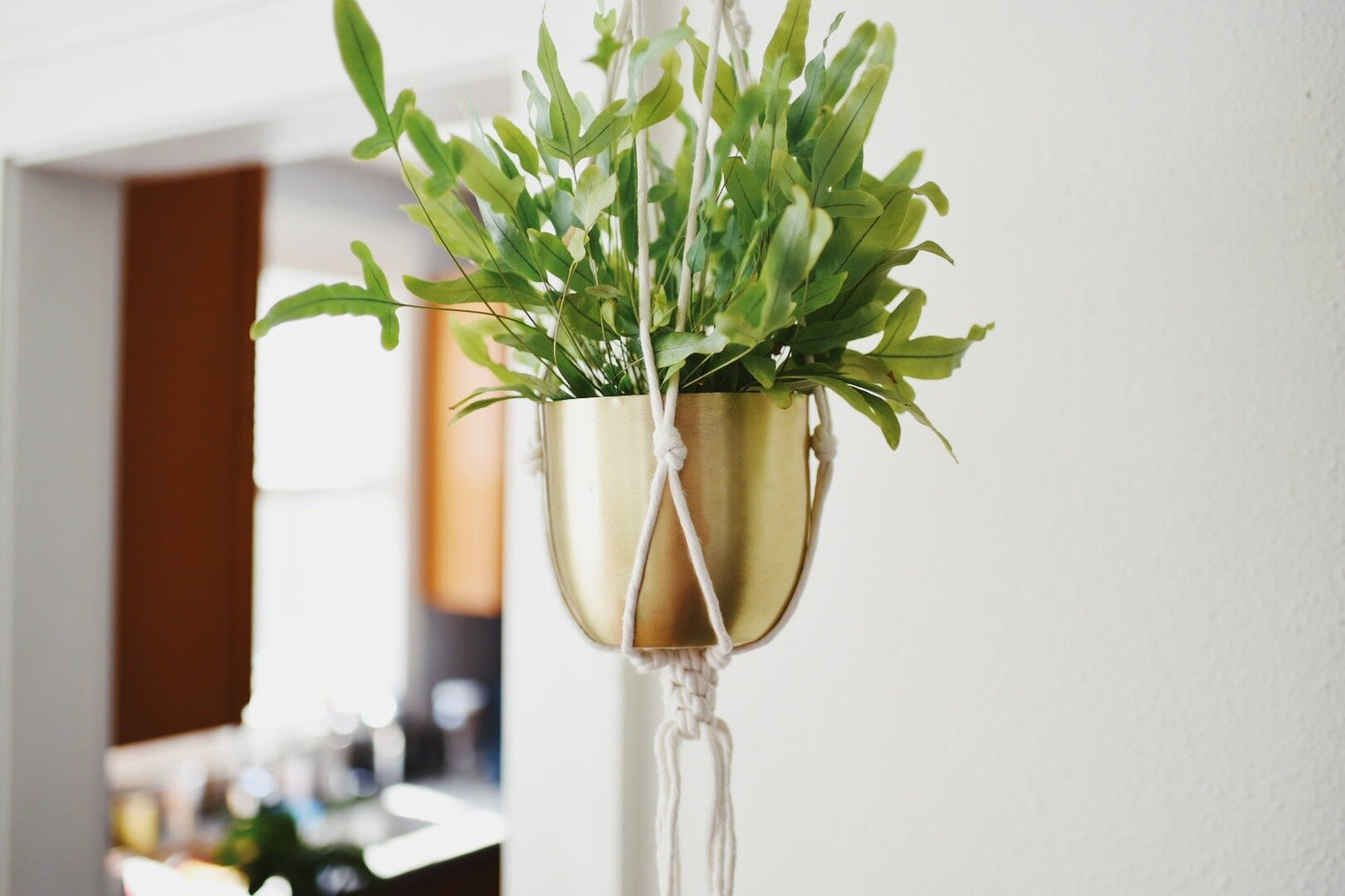 Plant Lanyard Hanger
