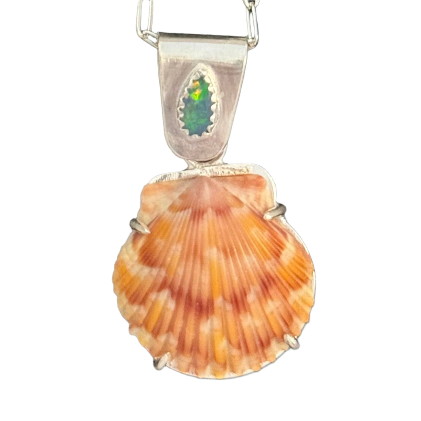 Sea Collectors Shell Pendant