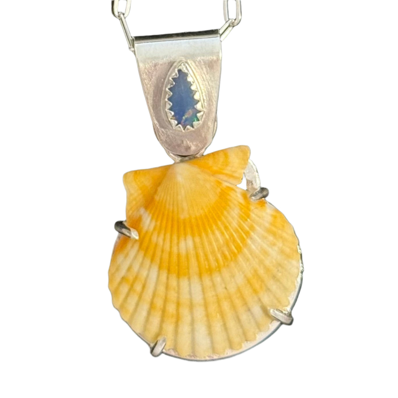 Sea Collectors Shell Pendant