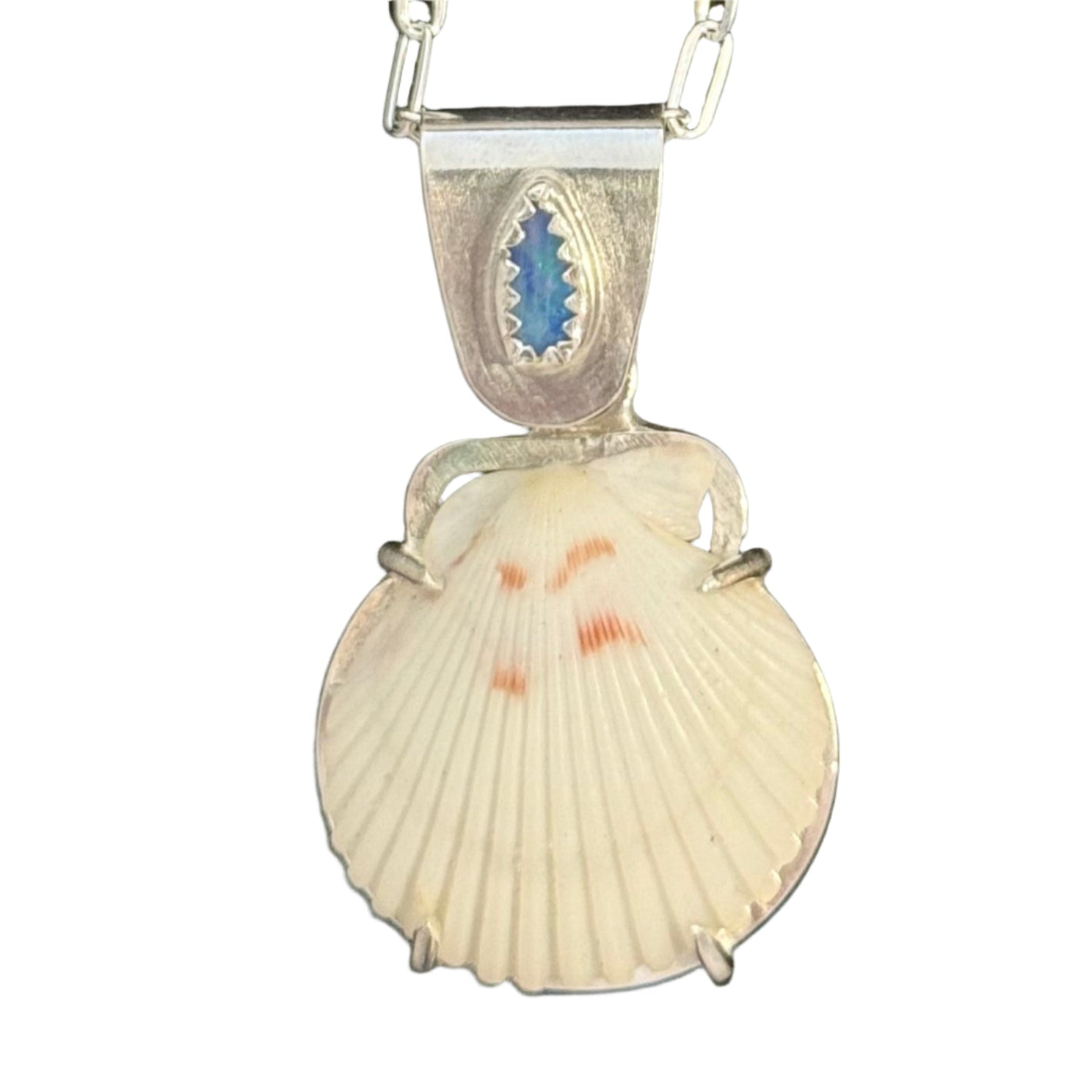 Sea Collectors Shell Pendant
