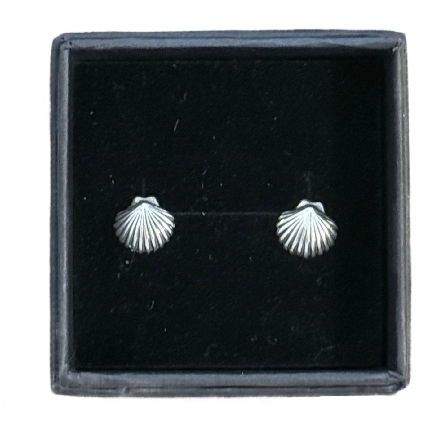 Clam Shell Studs