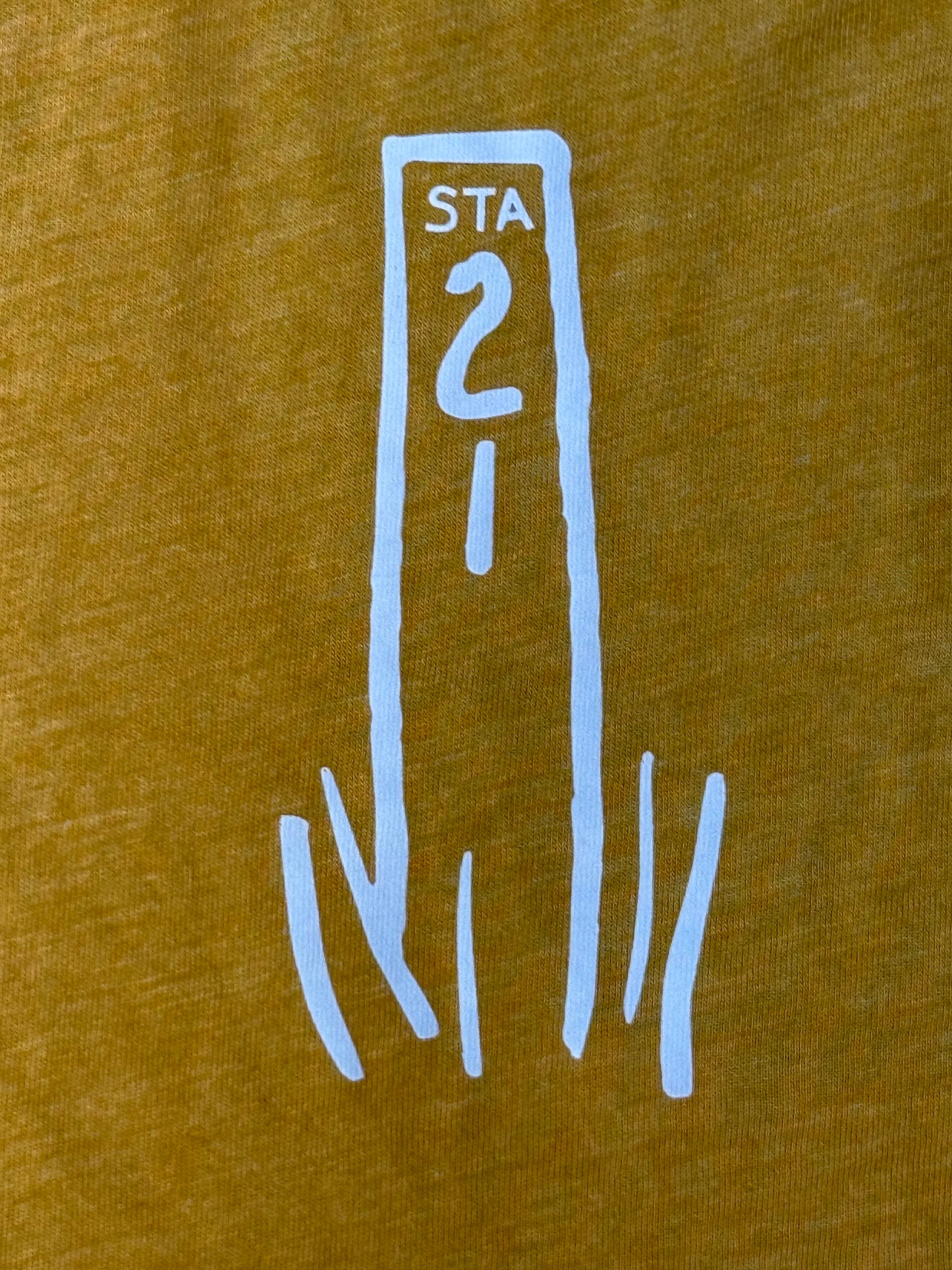 Station 21 Adult Tank
