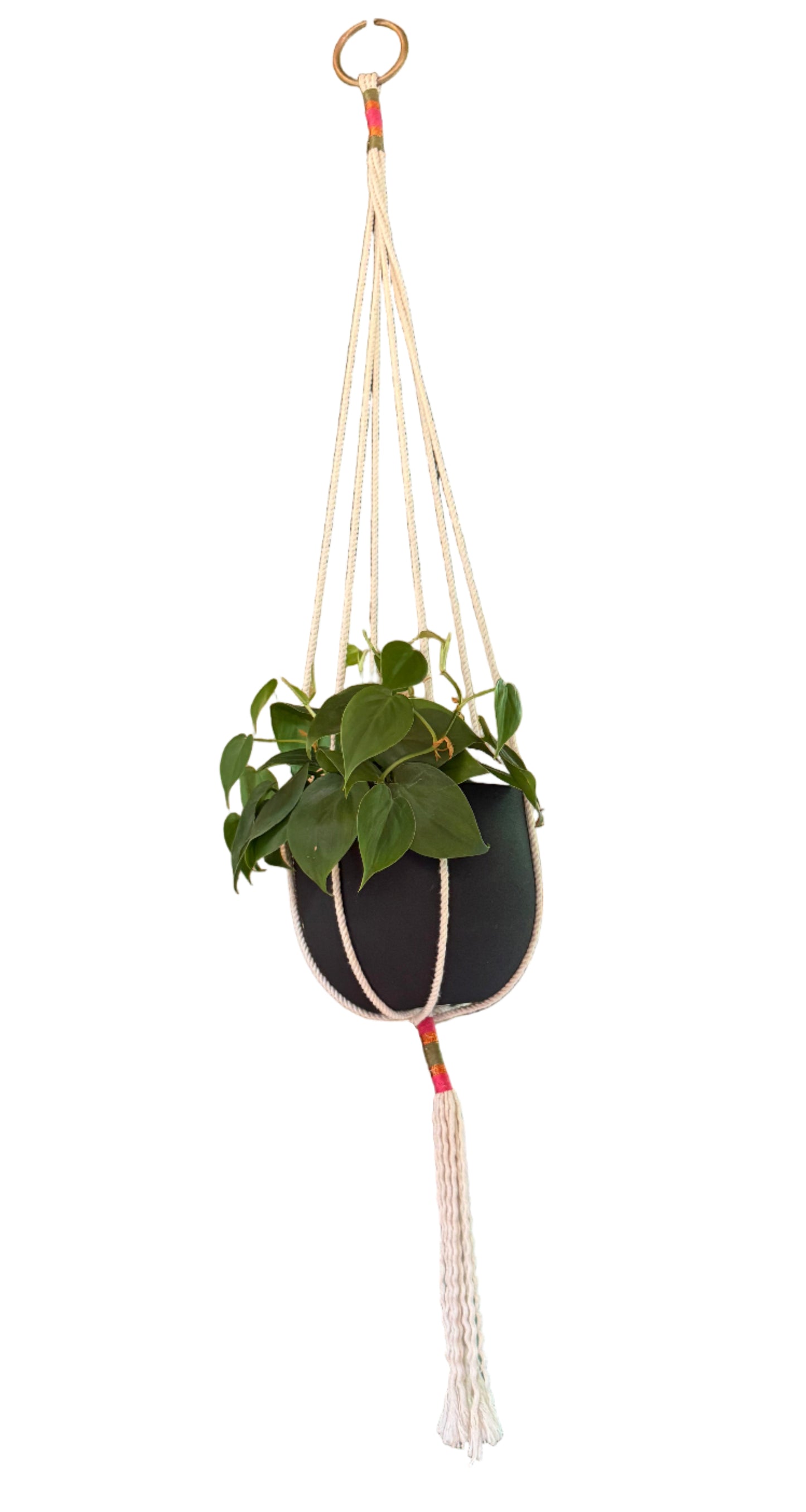 Crochet Plant Hanger