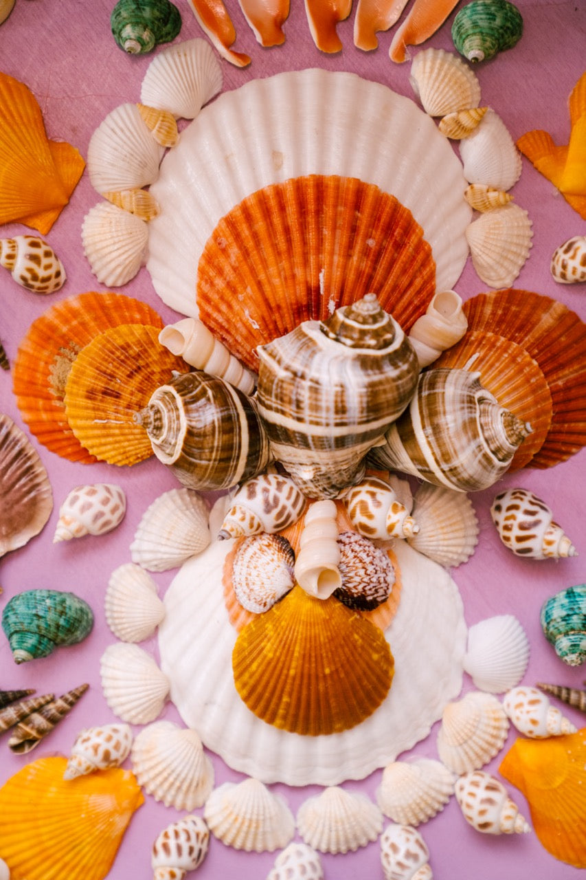 Round Shell Panel
