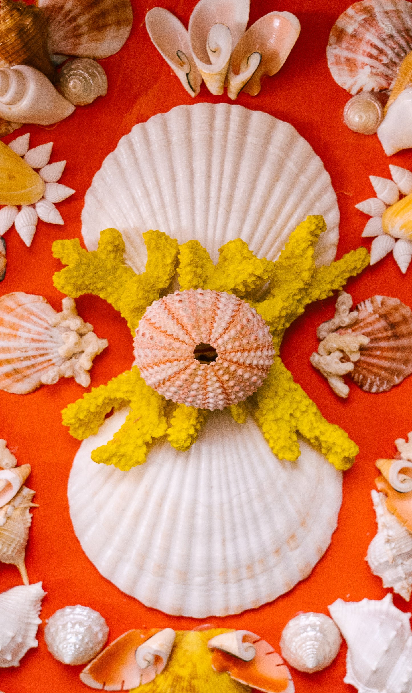 Round Shell Panel