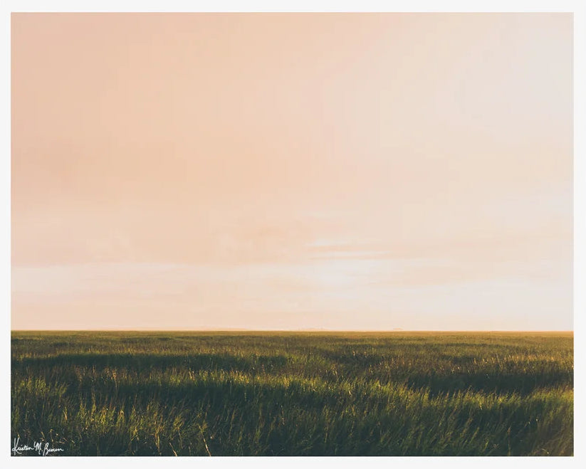 8x10 Marsh Dreaming