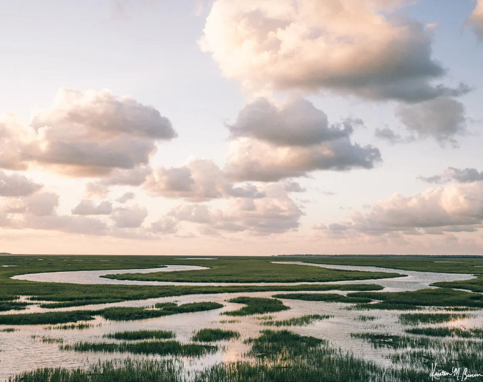 8x10 Marsh Meander