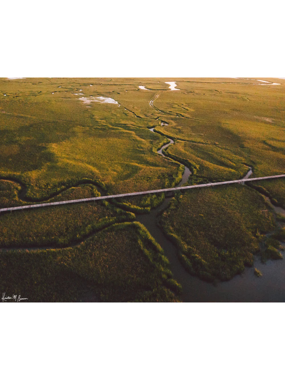 8x10 Marsh Walk